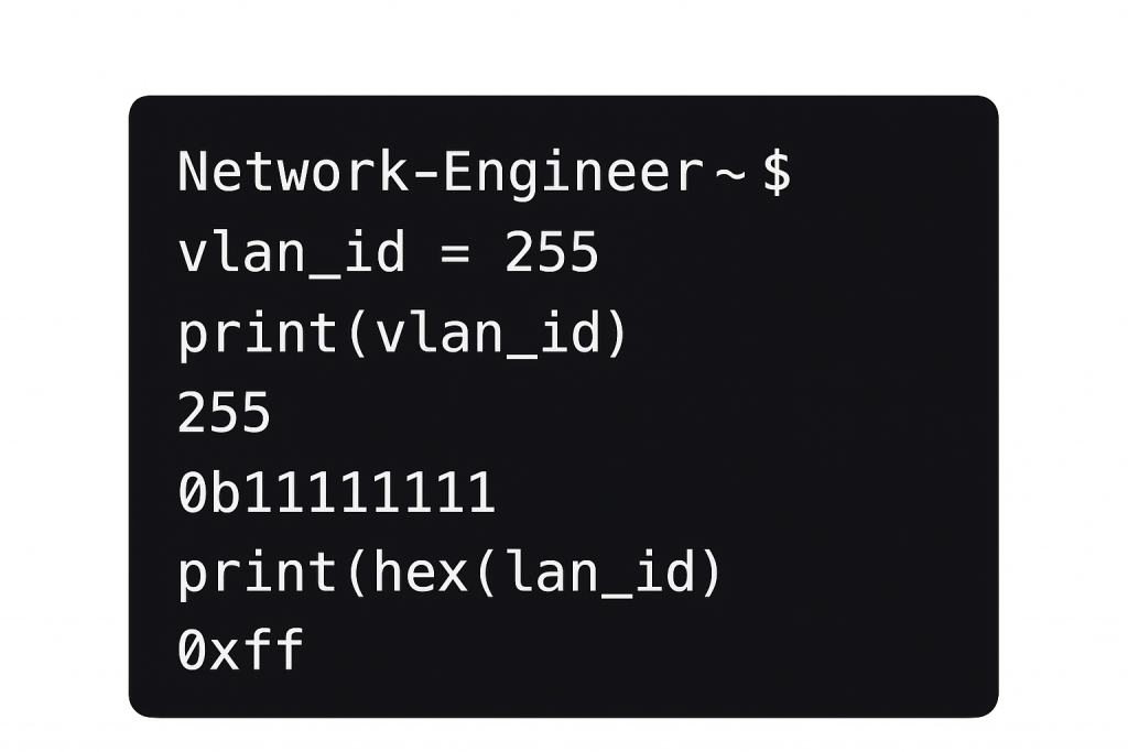 Python terminal output showing the number 255 displayed as decimal, binary, and hexadecimal using networking variable names