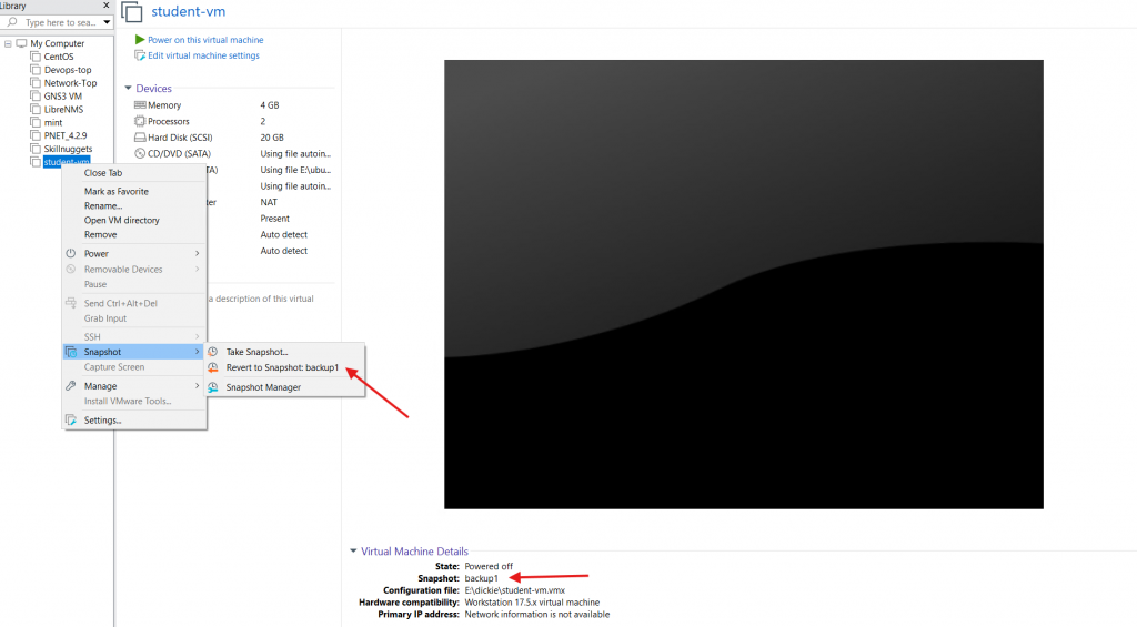 Screenshot showing the revert to snapshot "backup1" menu option in VMware