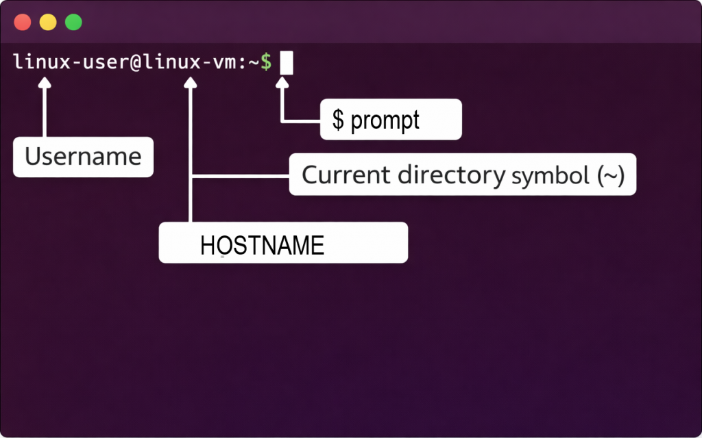 Clean screenshot of Ubuntu terminal window showing the prompt. Annotate the different parts - username, hostname, current directory symbol (~), and dollar sign prompt. Simple diagram with arrows pointing to each component and is essential to know before we start using basic linux commands
